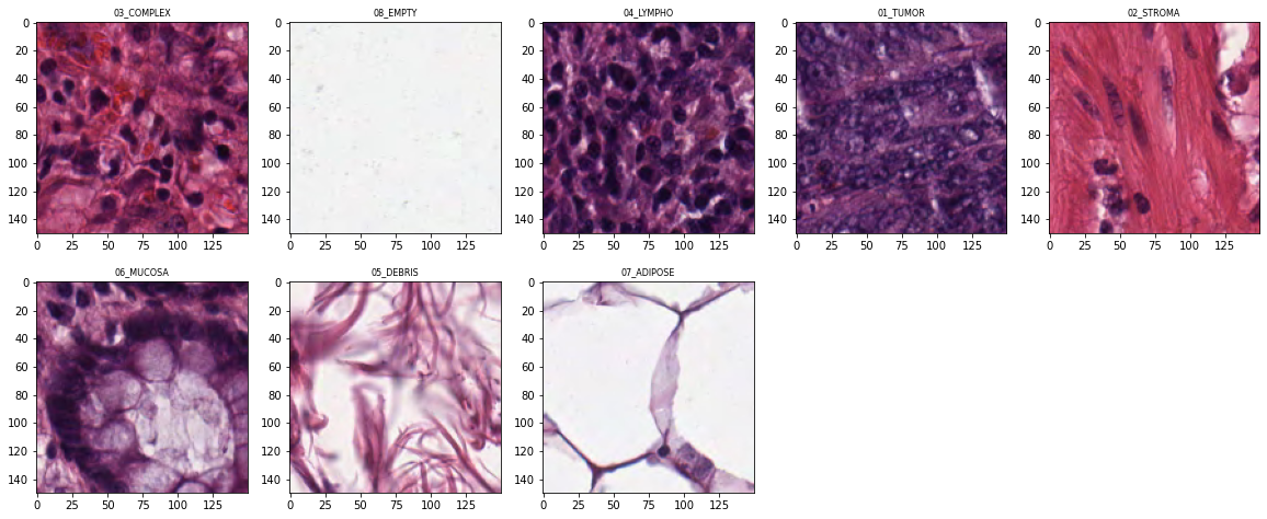 Sample tiles from each tissue class